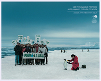 foto card