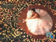 foto card