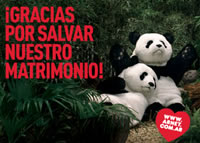 foto nota