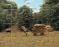 foto card