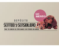 foto card