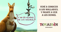 foto card