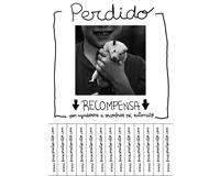 foto card