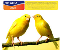 foto nota