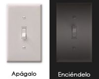 foto card