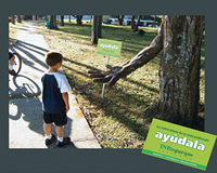 foto card