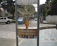 foto card