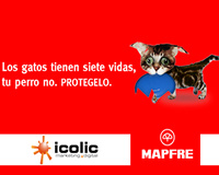foto card
