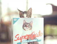 foto card