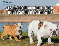 foto card
