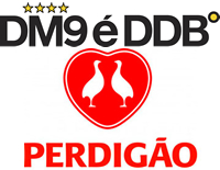 foto card