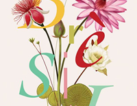 foto card