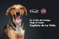 foto card