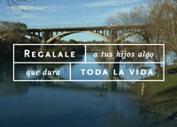 foto card