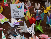 foto card