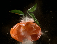 foto card