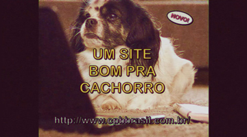 foto card