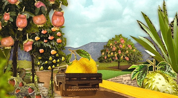 foto card