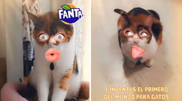 foto card