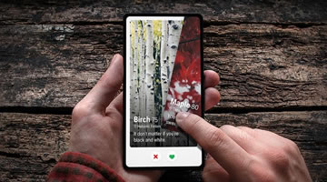 foto card