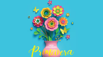 foto card