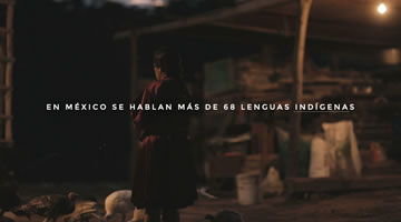foto card