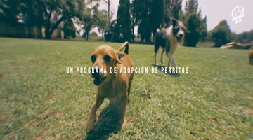 foto card