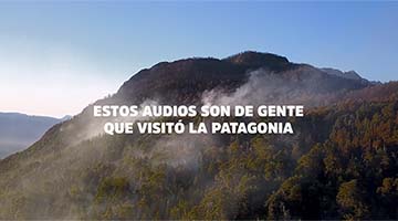 foto card