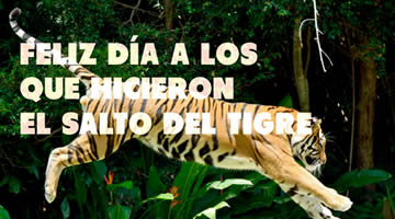 foto card