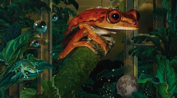 foto card