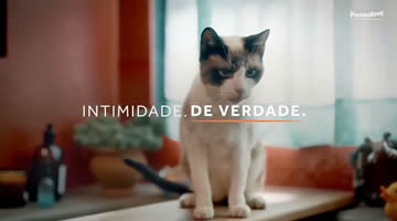 foto card
