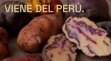 foto card
