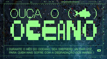 foto card