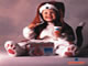foto card