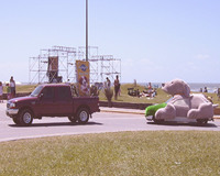 foto card