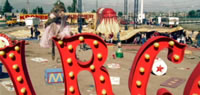 foto card