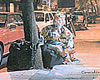 foto card