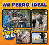 foto card