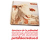 foto card