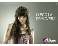foto card