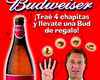 foto card
