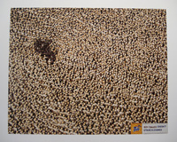 foto card