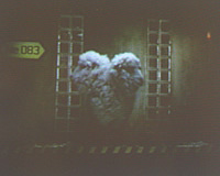 foto card