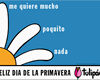 foto card