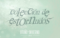 foto card