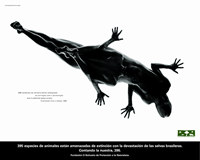 foto card