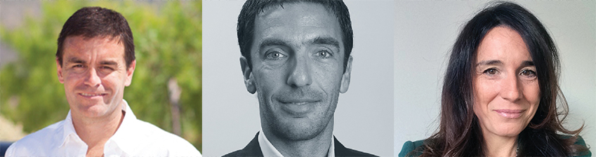 Creative Effectiveness y Creative Data