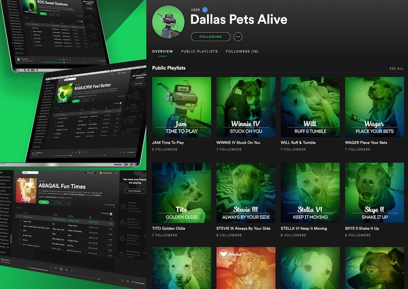 Dallas Pets Alive 2