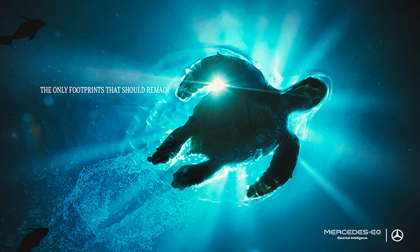 Tortuga