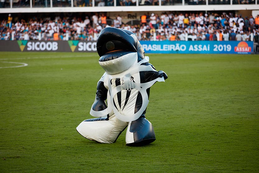 WWF Brasil / Santos Futebol Clube